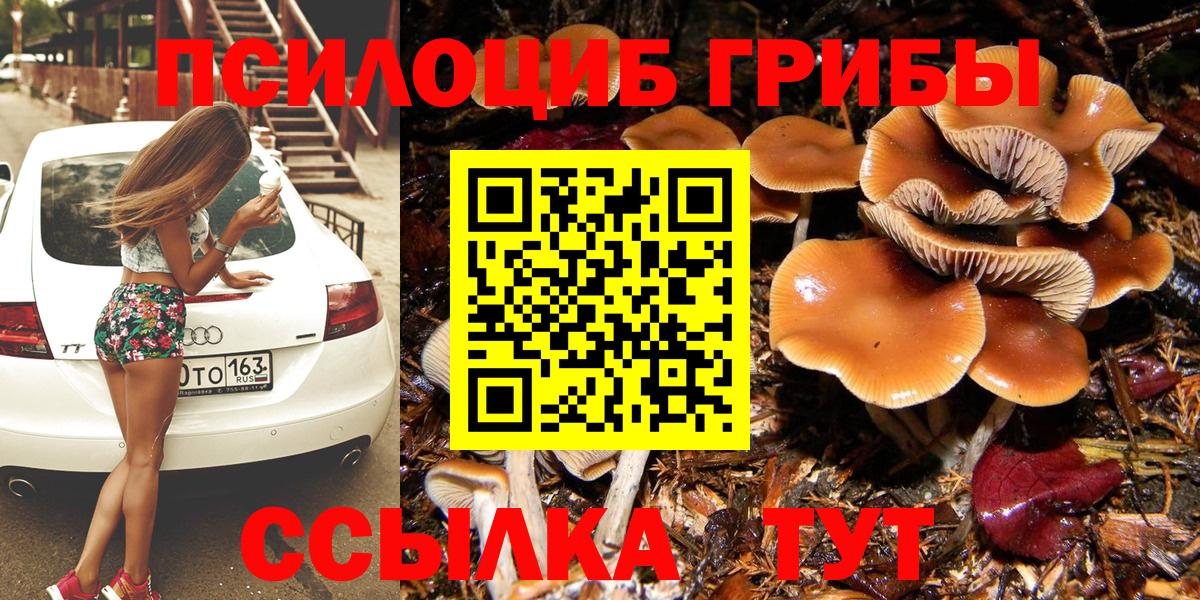 Псилоцибиновые грибы Psilocybe Орехово-Зуево
